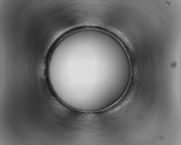 X0000102860926200808251223