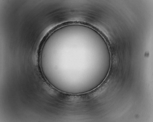 X0000102860927200808251223