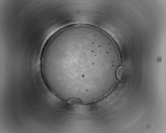 X0000102860928200808251223