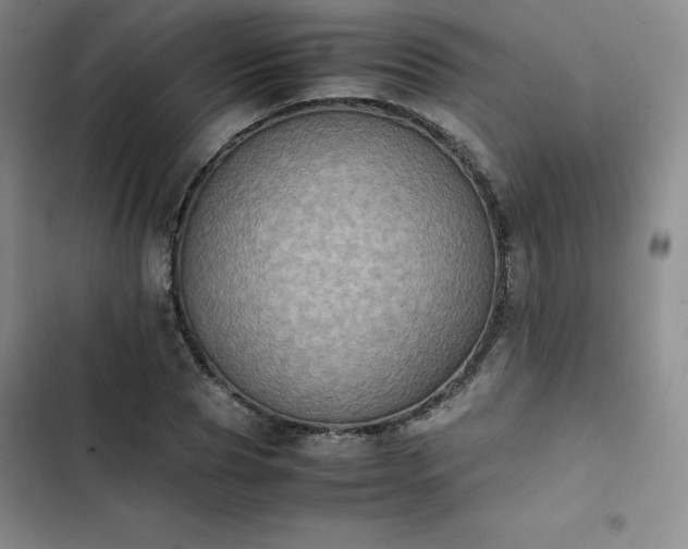 X0000102860929200808251223