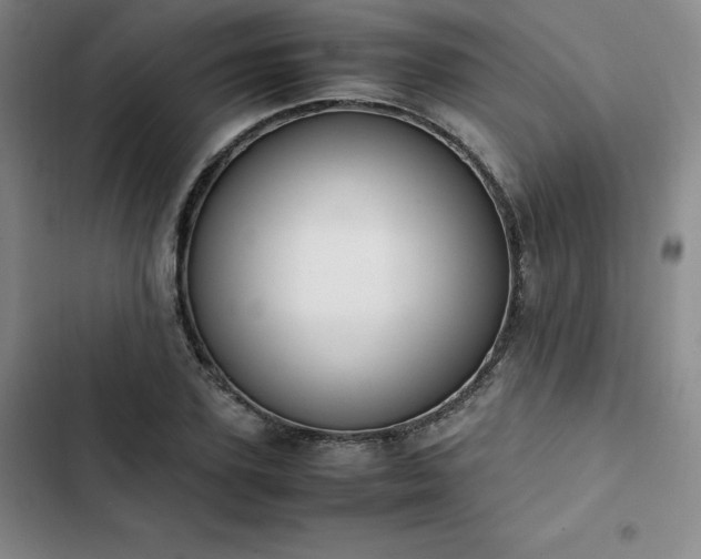 X0000102860931200808251223