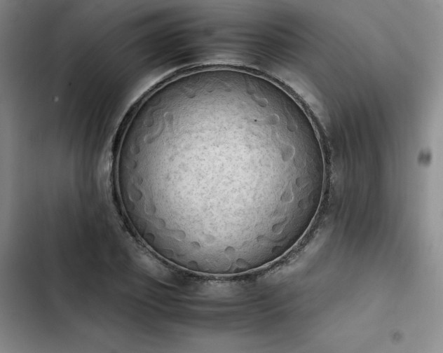 X0000102860933200808251223