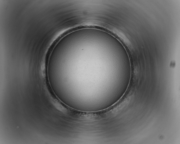 X0000102860934200808251223