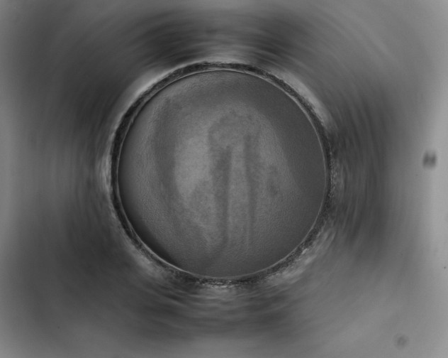 X0000102860935200808251223