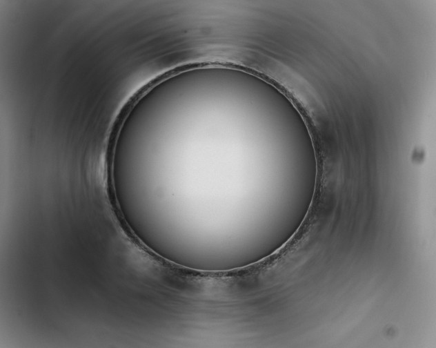 X0000102860936200808251223