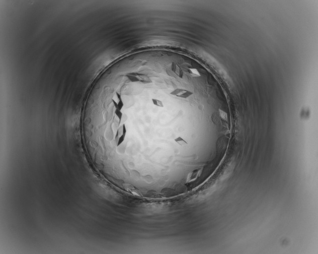 X0000102860937200808251223
