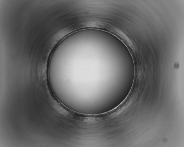 X0000102860938200808251223