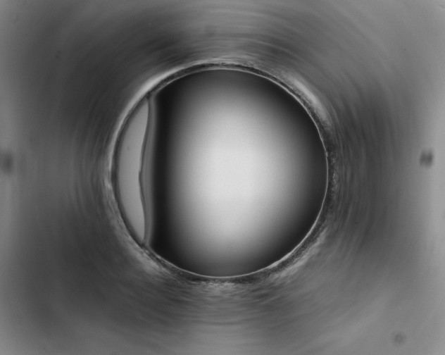 X0000102860940200808251223