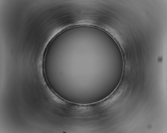 X0000102860941200808251223