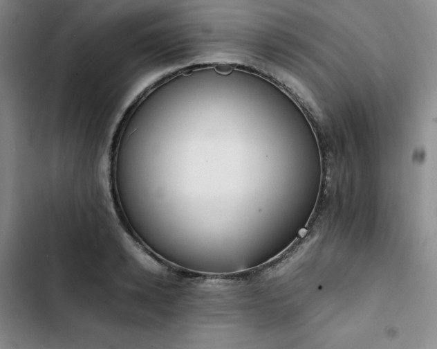 X0000102860942200808251223