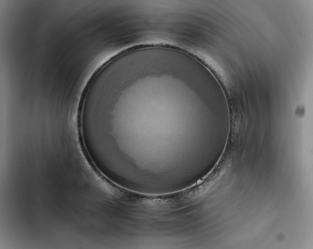 X0000102860943200808251223