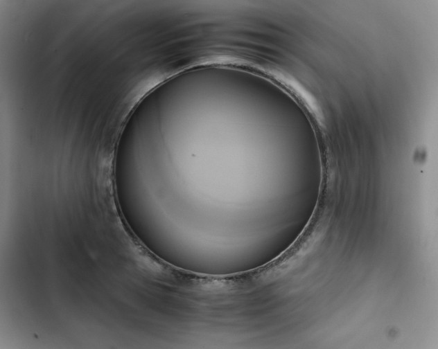 X0000102860945200808251223