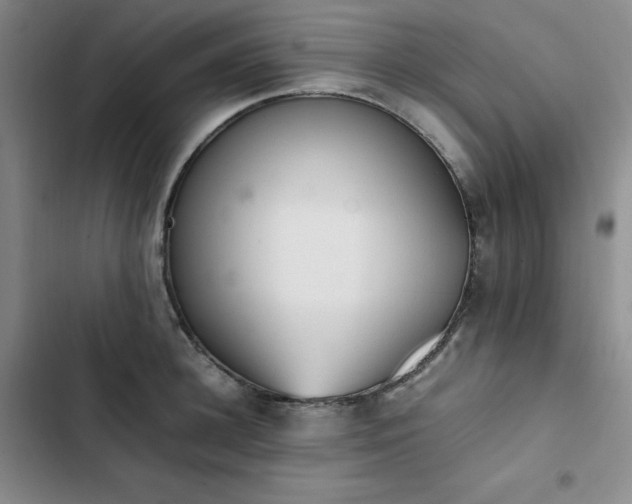 X0000102860948200808251223