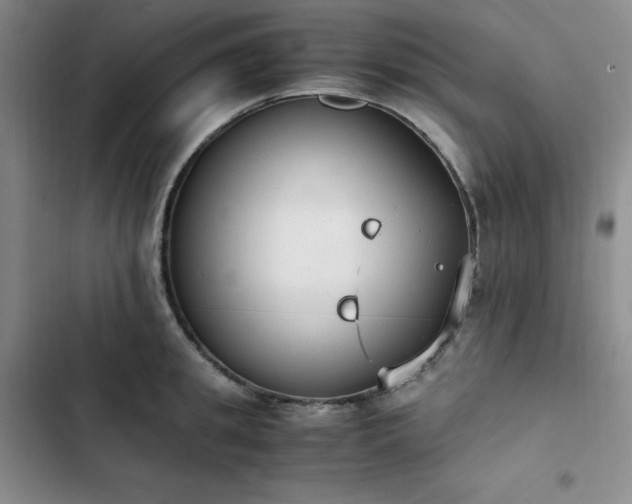 X0000102860949200808251223