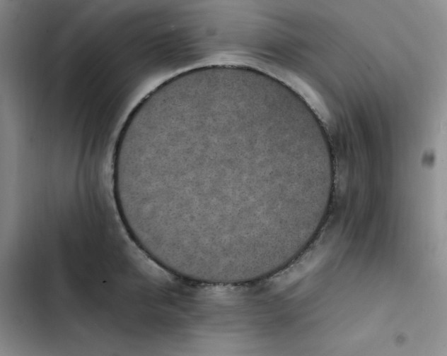 X0000102860950200808251223