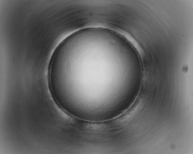 X0000102860951200808251223