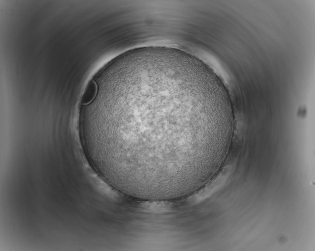 X0000102860952200808251223