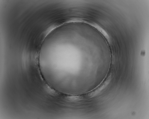 X0000102860953200808251223