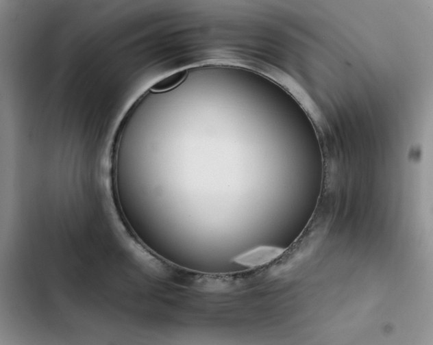 X0000102860955200808251223