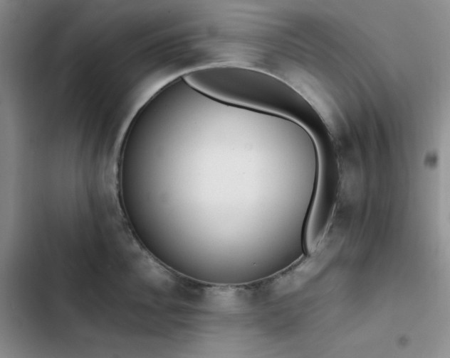 X0000102860956200808251223