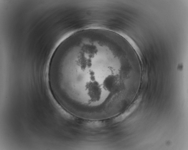 X0000102860957200808251223