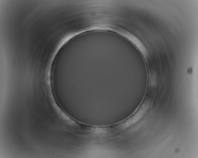 X0000102860958200808251223