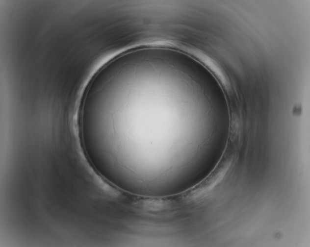 X0000102860959200808251223