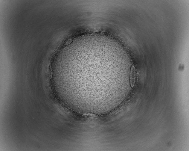 X0000102860961200808251222