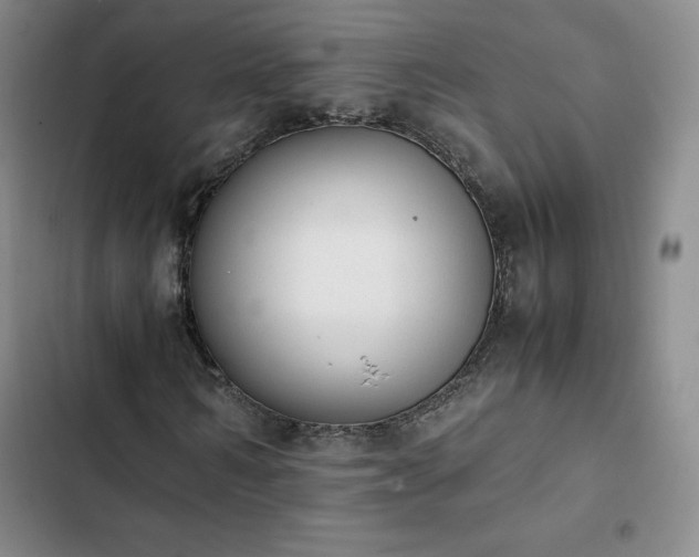 X0000102860962200808251222