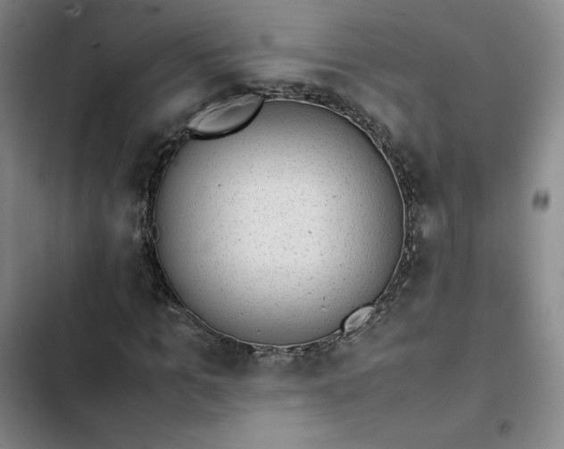 X0000102860965200808251222