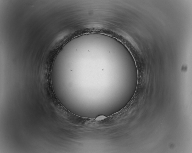 X0000102860967200808251222