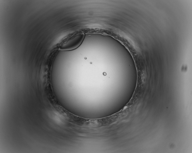 X0000102860968200808251222