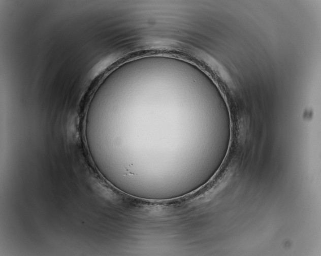 X0000102860970200808251222