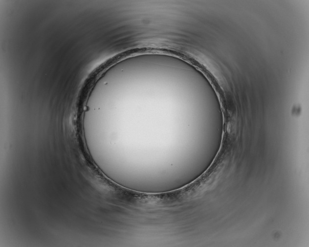 X0000102860971200808251222