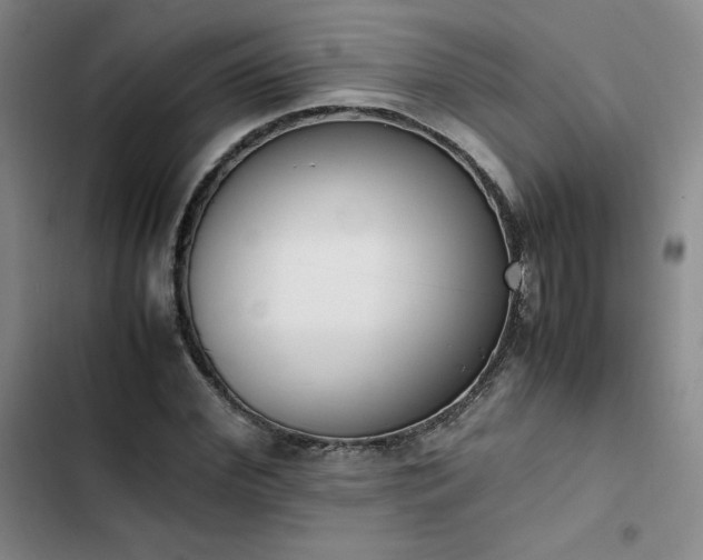 X0000102860972200808251222