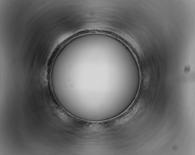 X0000102860974200808251222