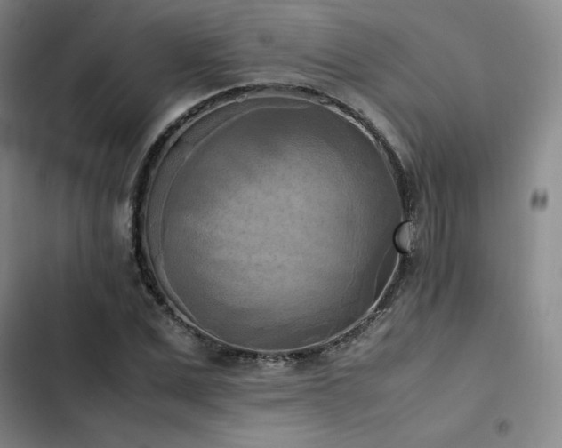 X0000102860975200808251222