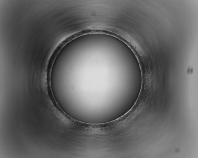 X0000102860976200808251222