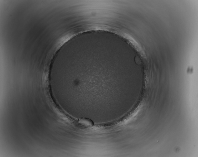 X0000102860977200808251222