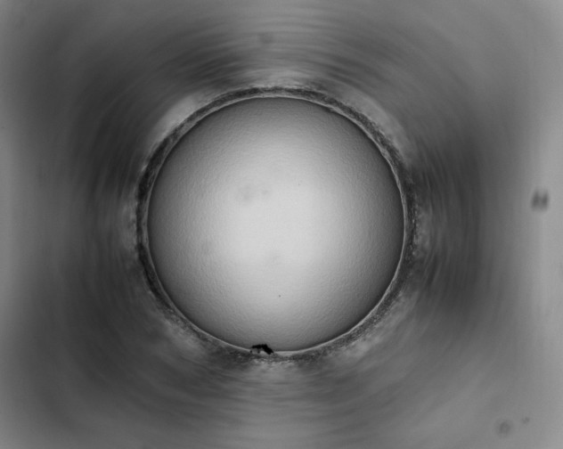 X0000102860978200808251222