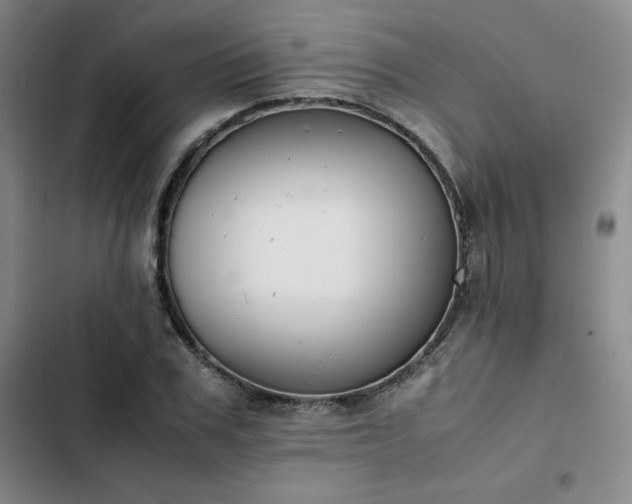 X0000102860979200808251222