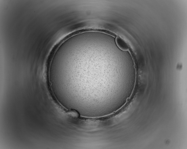 X0000102860981200808251222