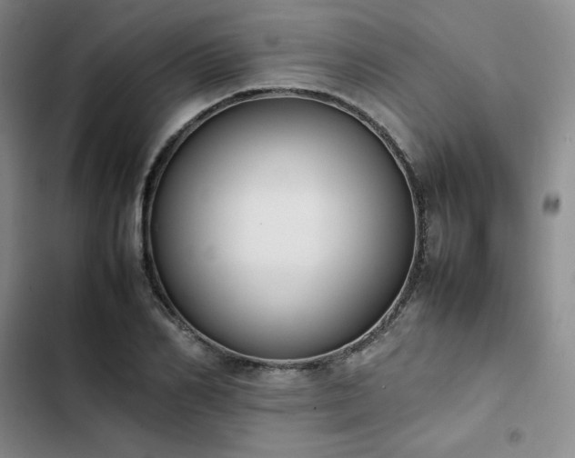 X0000102860982200808251222