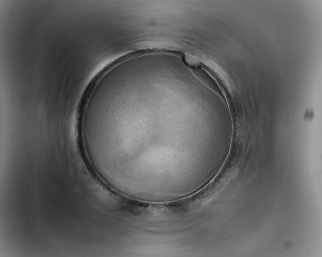 X0000102860983200808251222