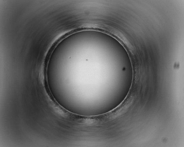 X0000102860984200808251222