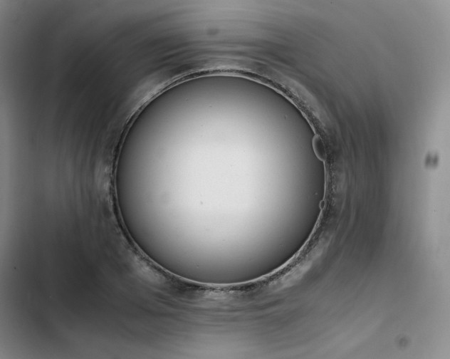 X0000102860985200808251222