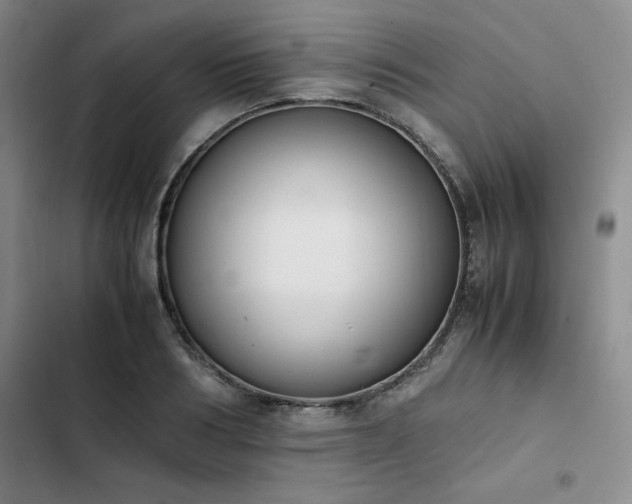 X0000102860986200808251222