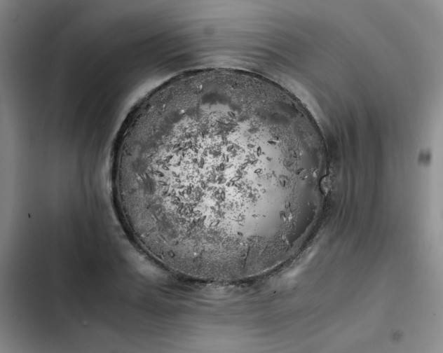 X0000102860987200808251222