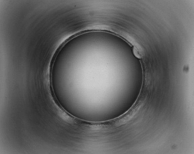 X0000102860988200808251222