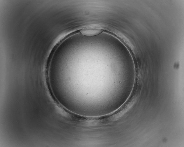 X0000102860989200808251222